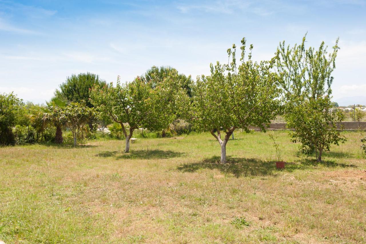 Olives Estate Apartments Grande Preveza Luaran gambar