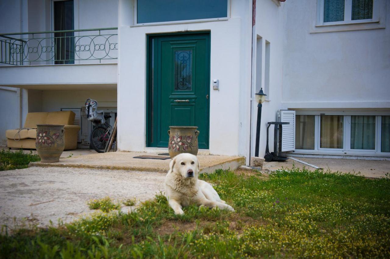 Olives Estate Apartments Grande Preveza Luaran gambar